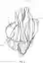 Fig. 06 - Collapsible animal decoy