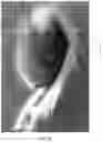 Fig. 08 - Collapsible animal decoy