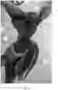 Fig. 09 - Collapsible animal decoy