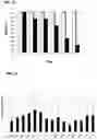 Fig. 10 - COMPOSITIONS AND METHODS FOR ORGAN PRESERVATION