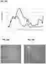 Fig. 12 - COMPOSITIONS AND METHODS FOR ORGAN PRESERVATION