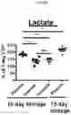 Fig. 05 - METHODS TO REDUCE CLOT FORMATION IN COLD-STORED PLATELET PRODUCTS