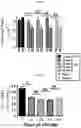 Fig. 12 - METHODS TO REDUCE CLOT FORMATION IN COLD-STORED PLATELET PRODUCTS