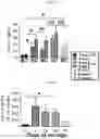 Fig. 18 - METHODS TO REDUCE CLOT FORMATION IN COLD-STORED PLATELET PRODUCTS