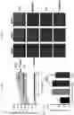 Fig. 34 - METHODS TO REDUCE CLOT FORMATION IN COLD-STORED PLATELET PRODUCTS