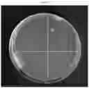 Fig. 07 - Antimicrobial compositions and related methods of use