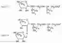 Fig. 08 - Antimicrobial compositions and related methods of use