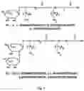 Fig. 10 - Antimicrobial compositions and related methods of use