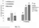 Fig. 15 - Microalgae-based compositions for benefiting plants and methods of application