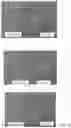 Fig. 07 - Selection and use of cold-tolerant bacillus strains as biological phytostimulators