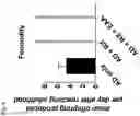 Fig. 06 - COMPOSITIONS AND RELATED METHODS FOR CONTROLLING VECTOR-BORNE DISEASES