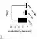Fig. 07 - COMPOSITIONS AND RELATED METHODS FOR CONTROLLING VECTOR-BORNE DISEASES