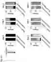 Fig. 08 - COMPOSITIONS AND RELATED METHODS FOR CONTROLLING VECTOR-BORNE DISEASES