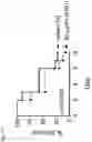 Fig. 15 - COMPOSITIONS AND RELATED METHODS FOR CONTROLLING VECTOR-BORNE DISEASES