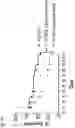 Fig. 31 - COMPOSITIONS AND RELATED METHODS FOR CONTROLLING VECTOR-BORNE DISEASES