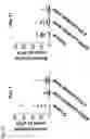 Fig. 32 - COMPOSITIONS AND RELATED METHODS FOR CONTROLLING VECTOR-BORNE DISEASES