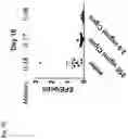 Fig. 64 - COMPOSITIONS AND RELATED METHODS FOR CONTROLLING VECTOR-BORNE DISEASES