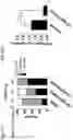 Fig. 65 - COMPOSITIONS AND RELATED METHODS FOR CONTROLLING VECTOR-BORNE DISEASES
