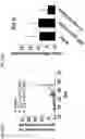 Fig. 66 - COMPOSITIONS AND RELATED METHODS FOR CONTROLLING VECTOR-BORNE DISEASES