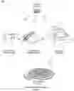 Fig. 02 - PIZZA SPINNER