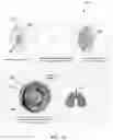 Fig. 12 - Electronic device for producing an aerosol for inhalation by a person
