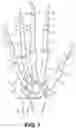 Fig. 02 - Protective glove