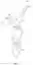Fig. 06 - Shirt collar attachment