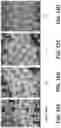Fig. 25 - Textiles and methods of making the same
