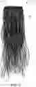 Fig. 02 - HAIR EXTENSION