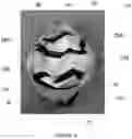 Fig. 07 - Swim cap