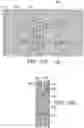 Fig. 06 - Fiber-Bound Engineered Materials Formed Using Partial Scrims