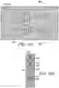 Fig. 07 - Fiber-Bound Engineered Materials Formed Using Partial Scrims