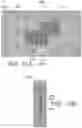 Fig. 13 - Fiber-Bound Engineered Materials Formed Using Partial Scrims