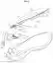 Fig. 03 - SHOES
