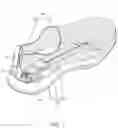 Fig. 02 - Insole and shoes comprising the same