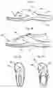Fig. 07 - FLIP FLOP AND SLIPPER IN ONE/CONVERTIBLE SANDAL SLIPPER