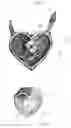 Fig. 08 - STRINGED JEWELRY