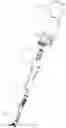 Fig. 02 - AUTOMATIC CURLER