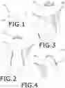 Fig. 02 - Easy grip water bottle for athletes