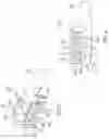 Fig. 05 - Oral Care Implement