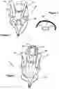 Fig. 03 - CHILD-SUPPORTING HARNESS