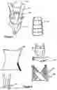 Fig. 04 - CHILD-SUPPORTING HARNESS