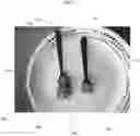 Fig. 03 - Controlled Portion Dietary Utensil