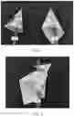 Fig. 03 - Straw cap
