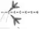 Fig. 02 - Emulational Christmas tree branch and manufacturing process therefor