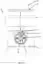 Fig. 10 - INTERLOCK MECHANISM