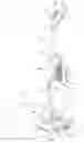 Fig. 02 - Floor cleaner