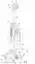 Fig. 04 - Floor cleaner