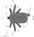 Fig. 80 - Fitting For A Medical Scoping Device Having A Plurality of Protuberances And Tab