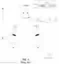 Fig. 05 - PAIRING AND EYE POLARITY DETERMINATION METHOD AND SYSTEM